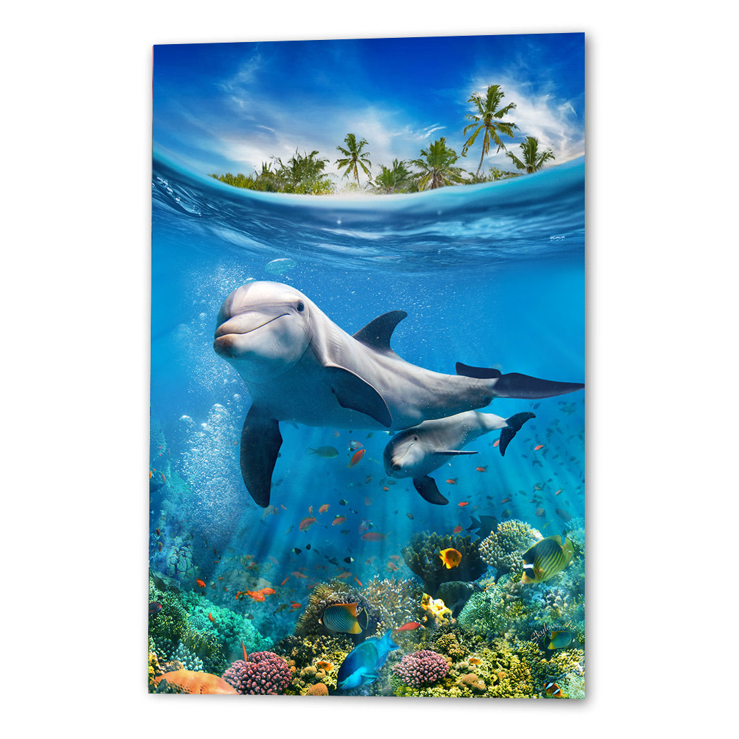 Dolphins