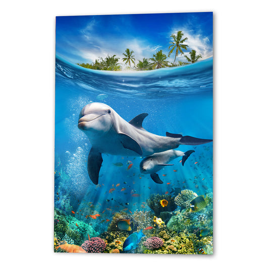 Dolphins
