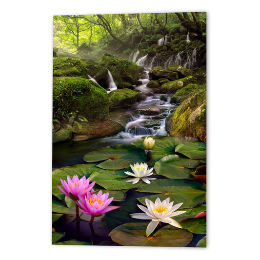 Lotus Pond #2