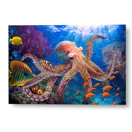 Octopus
