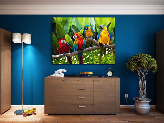 Parrots