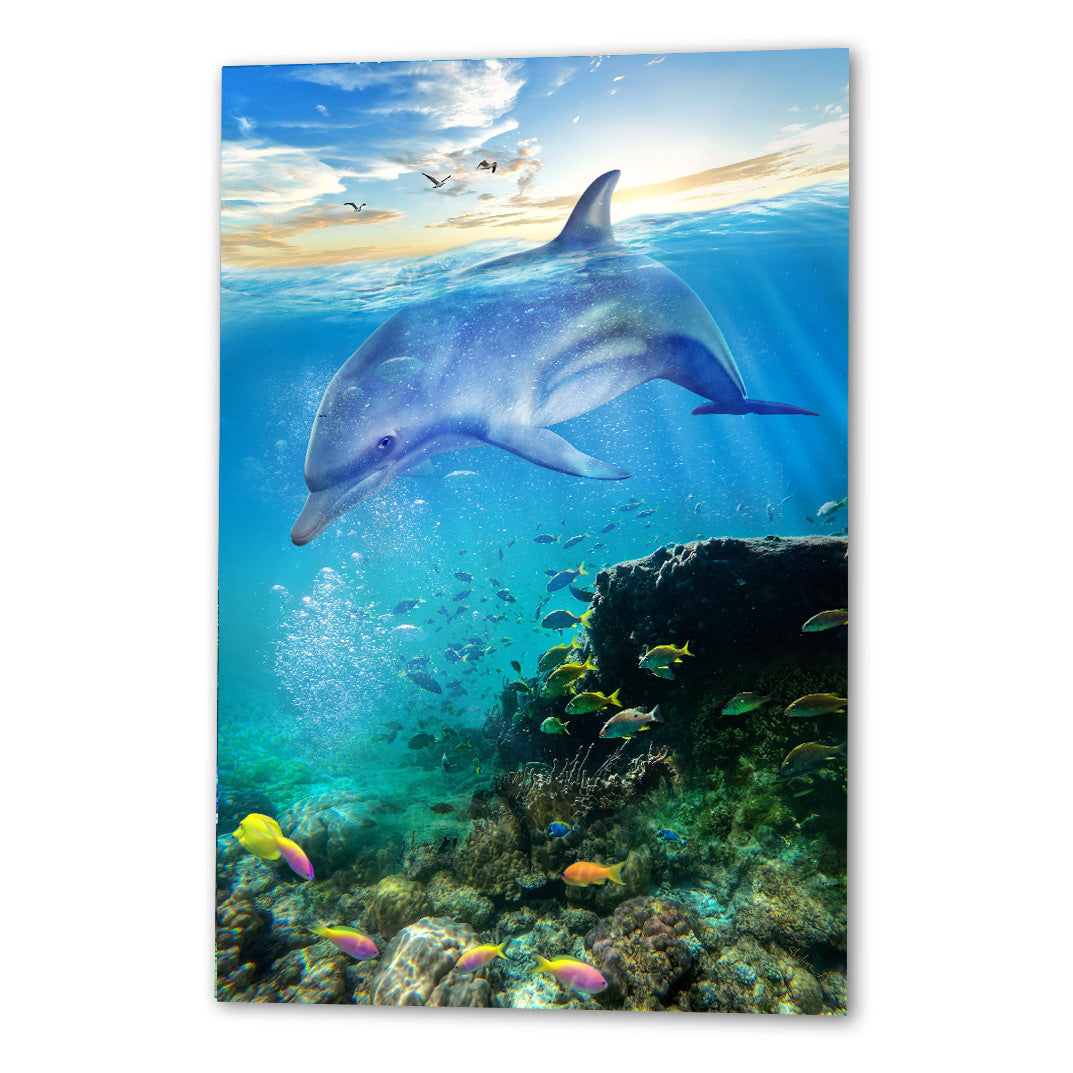 Dolphin by SkyloveArt
