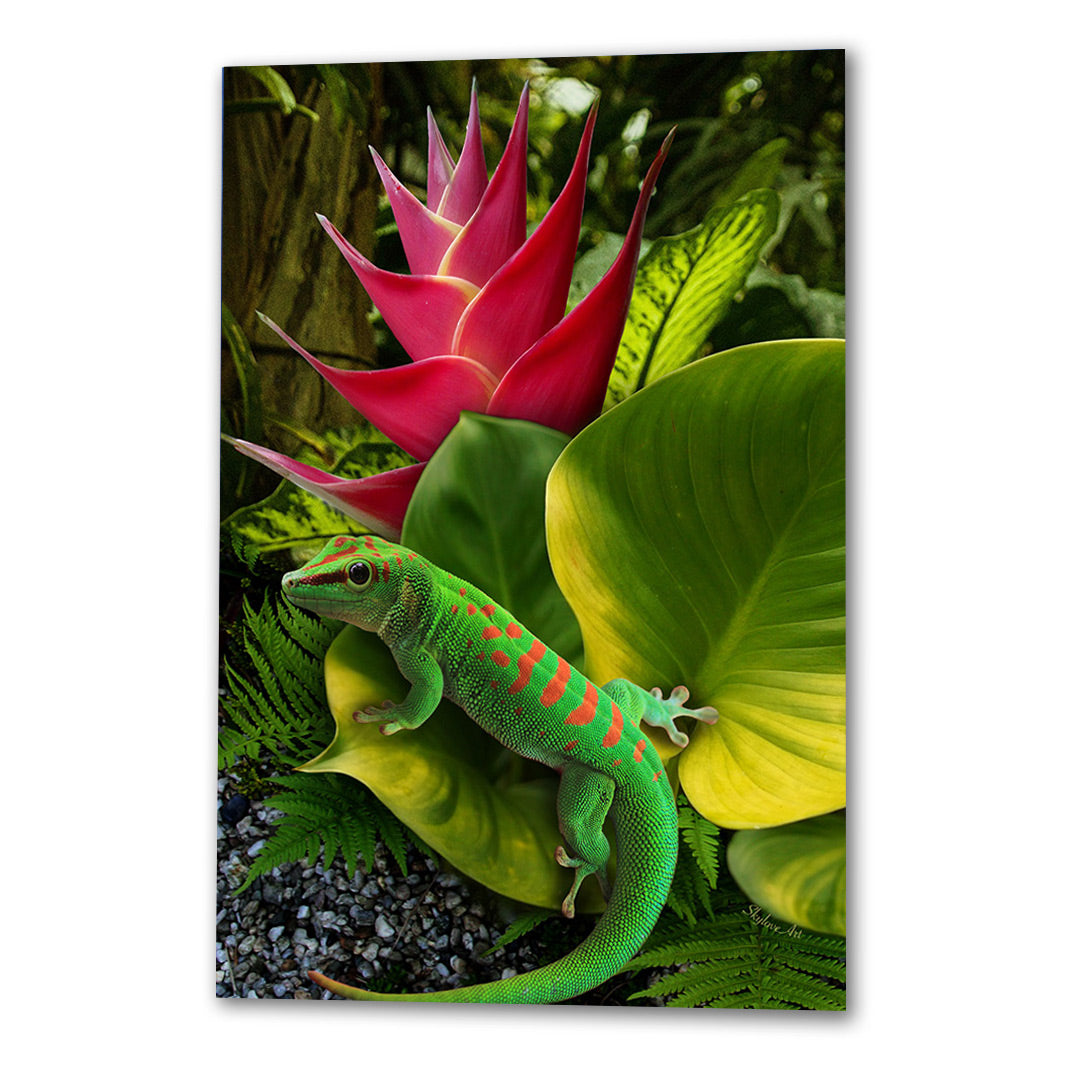 Gecko by SkyloveArt