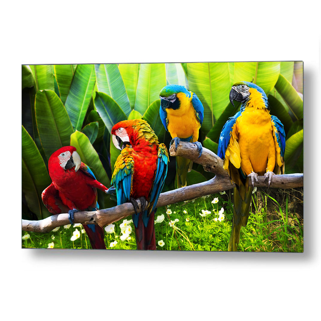 Parrot wall art — colorful macaws perched on a branch in tropical foliage by SkyloveArt