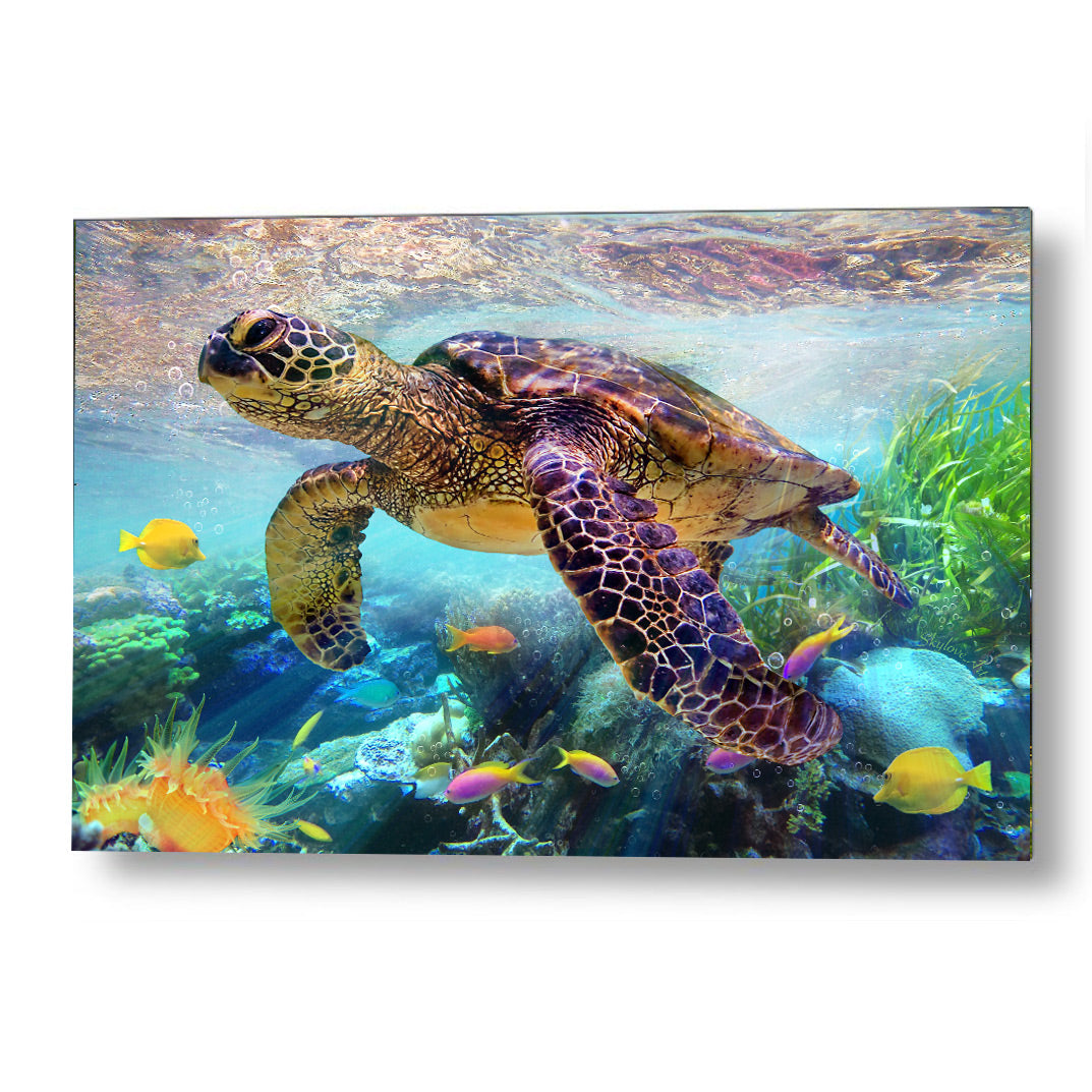 Sea turtle wall art — green sea turtle gliding through a coral reef by SkyloveArt