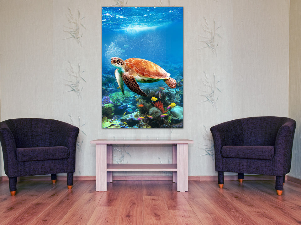 Turtle #2 wall art displayed in a room setting