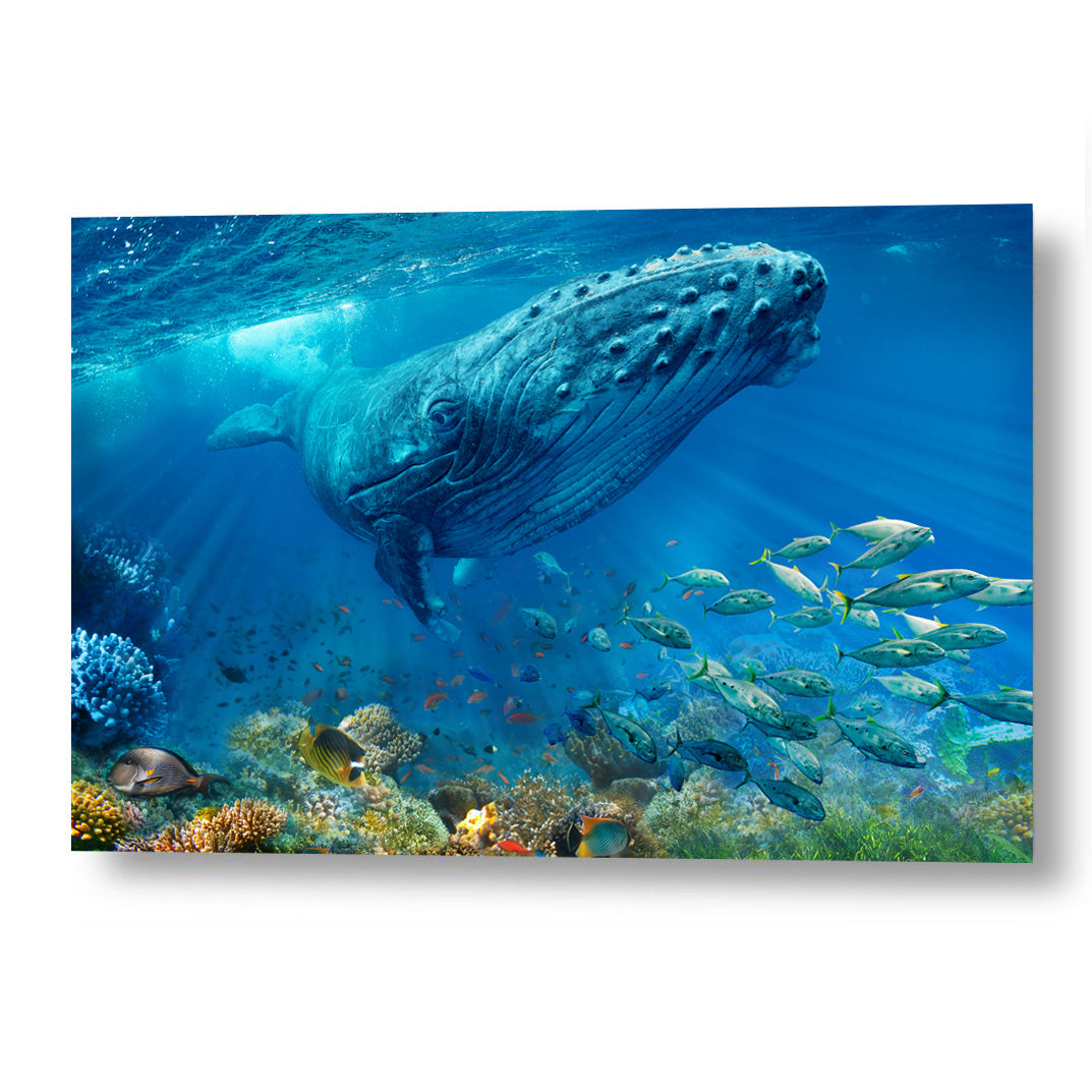 Whale wall art — majestic humpback whale in a deep blue ocean by SkyloveArt
