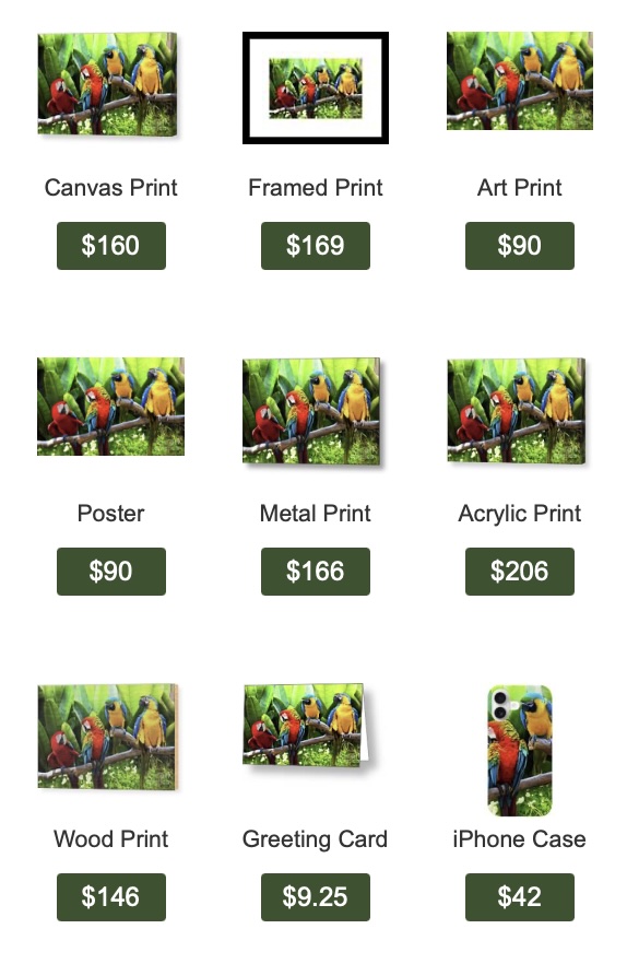 Parrots — colorful macaws on a branch wall art print by SkyloveArt