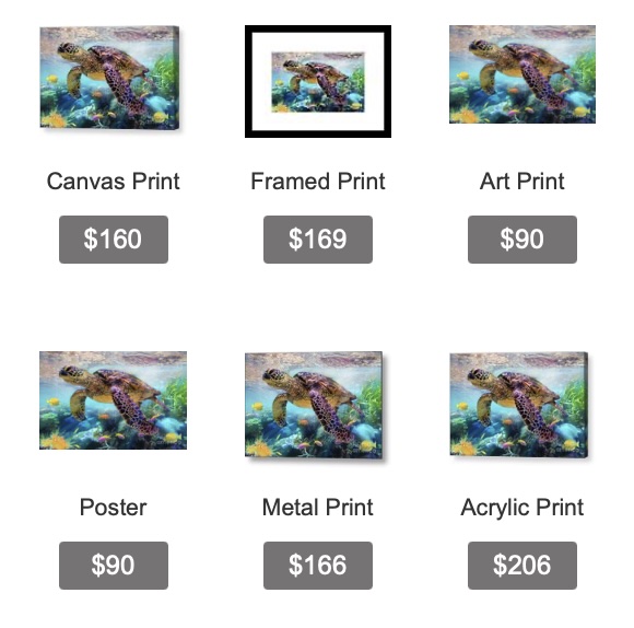 Turtle #1 — sea turtle underwater art print by SkyloveArt